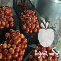 آگهی مشابه فروش رب گوجه خانگی در اصفهان در گروه انواع رب - گوجه انار نارنج خانگی سیب عمده در یکمیوه