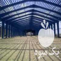 آگهی مشابه خرید و فروش سوله دست دوم در رباط کریم در گروه خرید فروش سایر محصولات تجهیزات کشاورزی در یکمیوه