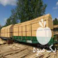آگهی مشابه فروش چوب روسی و راش در تهران در گروه خرید فروش عمده چوب- زغال چوب گردو تبریزی خام در یکمیوه