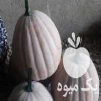 آگهی مشابه فروش کدو زرد شیرین و خشک در مازندران در گروه خرید فروش عمده کدو - سبز خورشتی بندر ورامین کرج سفید در یکمیوه