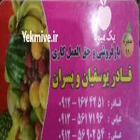 آگهی مشابه بار فروشی و حق العمل کاری در البرز در گروه حق العمل کاری محصولات کشاورزی و دامداری خدمات کارمزد در یکمیوه