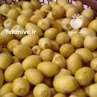 آگهی مشابه فروش مستقیم رطب و خرما از نخلستان در تهران در گروه خرید فروش عمده خرما - کبکاب تازه زاهدی خشک خارک در یکمیوه