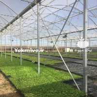 آگهی مشابه فروش و طراحی و اجرای سازه های گلخانه ای در تهران در گروه خرید فروش تجهیزات گلخانه - صنعتی خانگی هوشمند دست دوم در یکمیوه