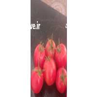 آگهی مشابه فروش محصولات کشاورزی در همدان در گروه بارفروشی محصولات کشاورزی بار فروش تهران دزفول کرمان کرج در یکمیوه