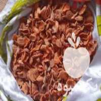 آگهی مشابه فروش زرد آلو خشک ارگانیک و طبیعی در سقز در گروه خرید فروش عمده آلو - آلوچه گوجه سبز زرد خاکی شابلون سانتریزه سیاه در یکمیوه