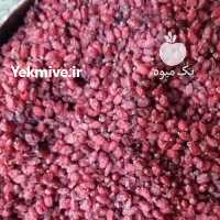 آگهی مشابه فروش زرشک پلویی در بیرجند در گروه خرید فروش عمده ازگیل و تمشک و زرشک - ژاپنی فروش مستقیم در یکمیوه