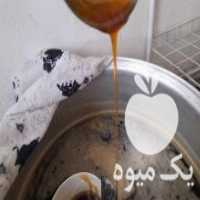 آگهی مشابه فروش شیره ی انگور خانگی دوشاب در ارومیه در گروه عسل و فرآورده ی مربا - طبیعی گون کوهی آویشن در یکمیوه