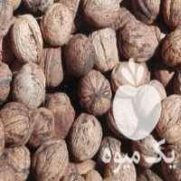 آگهی مشابه فروش انواع خشکبار درجه یک در ملایر در گروه بادام - درختی کوهی زمینی فروش عمده در یکمیوه
