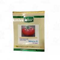 آگهی مشابه فروش بذر گوجه فرنگی گلخانه ای والنسیا در بوشهر در گروه خرید فروش بذر - انواع محصول کشاورزی گوجه کتان میوه درخت در یکمیوه