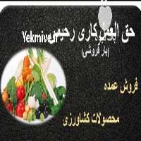 آگهی مشابه فروش و حق العمل کاری بار محصولات کشاورزی رحیمی در گروه حق العمل کاری محصولات کشاورزی و دامداری خدمات کارمزد در یکمیوه