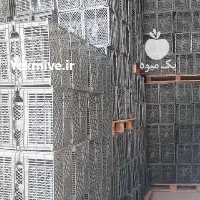 فروش سبد سیب 12 کیلویی و سبد میوه در بابل در گروه خرید فروش انواع سبد - میوه پلاستیکی چوبی گل در یکمیوه