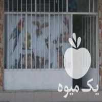 آگهی مشابه فروش پرنده سرای پرهام در بابلسر در گروه انواع پرنده - زینتی عروس هما مینا طوطی مرغ عشق در یکمیوه