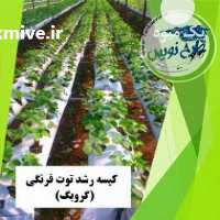 آگهی مشابه فروش کیسه رشد توت فرنگی هیدروپونیک در تهران در گروه خرید فروش عمده توت فرنگی - خرید فروش عمده قرمز سفید در یکمیوه