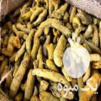 آگهی مشابه فروش تهیه و توزیع انواع ادویه در تهران در گروه ادویه - ترشی کاری ادویه جات خشک در یکمیوه