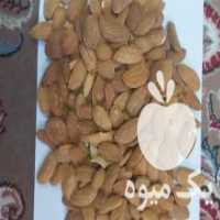 آگهی مشابه فروش بادام محب مغز لپه مغزسنگ در اصفهان در گروه بادام - درختی کوهی زمینی فروش عمده در یکمیوه
