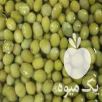 آگهی مشابه فروش زیتون سیر و گل سیر طارم در آب بر در گروه خرید فروش عمده زیتون - سبز سیاه بندری پاکستانی طارم در یکمیوه