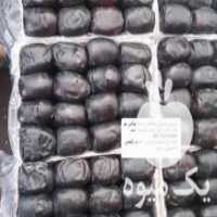 آگهی مشابه فروش خرمای مضافتی صادراتی در بم در تایباد در گروه خرید فروش عمده خرما - کبکاب تازه زاهدی خشک خارک در یکمیوه