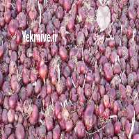 آگهی مشابه فروش پیاز قرمز صادراتی در کرمانشاه در گروه خرید فروش عمده پیاز - قرمز سفید زرد ترشی تازه انباری در یکمیوه