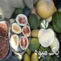 آگهی مشابه فروش هندوانه و کدو حلوایی دیم در بیرجند در گروه خرید فروش عمده هندوانه - صادراتی گرد بیضی زرد قرمز در یکمیوه
