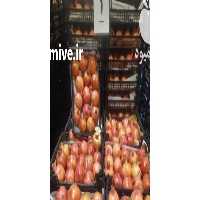 آگهی مشابه فروش انار صادراتی در تهران در گروه خرید فروش عمده انار - ساوه شیراز شیرین ترش در یکمیوه