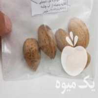 آگهی مشابه فروش بادام ارگانیک در تهران در گروه بادام - درختی کوهی زمینی فروش عمده در یکمیوه