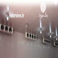 آگهی مشابه اجاره کامل سردخانه تنی در ساری در گروه اجاره سردخانه - محصولات کشاورزی میوه صنعتی تنی در یکمیوه