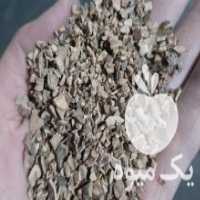 آگهی مشابه فروش پوست گردو در ارومیه در گروه گردو - کاغذی سنگی سوزنی خوشه ای توسرکان در یکمیوه