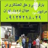 آگهی مشابه حق العمل کاری و بارفروشی میدان تره بار در تهران در گروه حق العمل کاری محصولات کشاورزی و دامداری خدمات کارمزد در یکمیوه