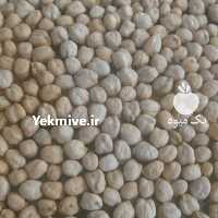 آگهی مشابه فروش نخود کرمانشاه در سنقر در گروه خرید فروش عمده نخود - فرنگی خام سبز فروش عمده در یکمیوه