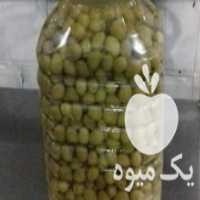 آگهی مشابه فروش زیتون درشت و متوسط در شاهرود در گروه خرید فروش عمده زیتون - سبز سیاه بندری پاکستانی طارم در یکمیوه
