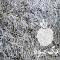 آگهی مشابه فروش پوشال میوه با کیفیت عالی در تهران در گروه خرید فروش انواع بسته بندی کاغذی - کارتن مقوا در یکمیوه