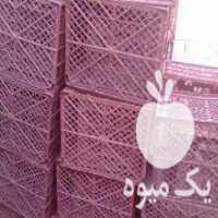 آگهی مشابه فروش سبد سیب سه رج 10کیلویی در مشگین شهر در گروه خرید فروش انواع سبد - میوه پلاستیکی چوبی گل در یکمیوه