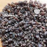 آگهی مشابه فروش و پخش انواع کشمش آفتابی و گردو تاکستان در تهران در گروه گردو - کاغذی سنگی سوزنی خوشه ای توسرکان در یکمیوه