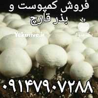آگهی مشابه فروش کمپوست قارچ  ،  فروش خاک پوششی در تهران در گروه خرید فروش عمده قارچ - دکمه ای خوراکی دارویی پرورشی کوهی در یکمیوه