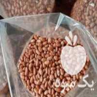 آگهی مشابه فروش بادام تازه آستانه در آستانه اشرفیه در گروه بادام - درختی کوهی زمینی فروش عمده در یکمیوه