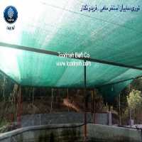 آگهی مشابه فروش توری سایبان استخر ماهی در تهران در گروه تجهیزات ماهیگیری - خرید و فروش محصولات در یکمیوه