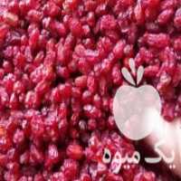 آگهی مشابه فروش و پخش خشکبار در کرج در گروه انواع خشکبار - فروش مغز دانه فروش عمده در یکمیوه