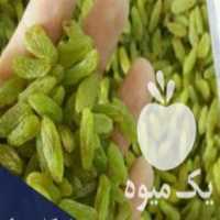 آگهی مشابه فروش کشمش و زعفران در تهران در گروه عسل و فرآورده ی مربا - طبیعی گون کوهی آویشن در یکمیوه