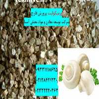 آگهی مشابه فروش ورمیکولیت در پرورش قارچ در تهران در گروه خرید فروش کود و مواد شیمیایی - اوره پتاس مرغی کمپوست آهن در یکمیوه