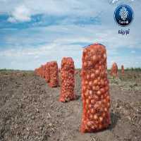 آگهی مشابه فروش توری پیاز در اصفهان در گروه خرید فروش عمده پیاز - قرمز سفید زرد ترشی تازه انباری در یکمیوه