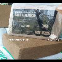 آگهی مشابه فروش کوکوپیت در کرج در گروه خرید فروش عمده سیب - زرد و قرمز گلاب پاییزه در یکمیوه