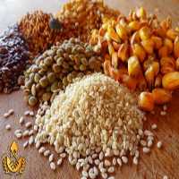 آگهی مشابه فروش انواع نهاده های دامی ذرت ،  جو ،  سویا در تهران در گروه نهاده ها دام و طیور در یکمیوه