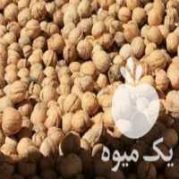 آگهی مشابه فروش گردو بادام عسل و نقل تویسرکان در خوزستان در گروه عسل و فرآورده ی مربا - طبیعی گون کوهی آویشن در یکمیوه