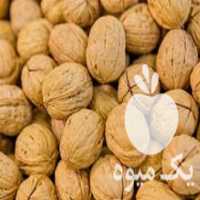 آگهی مشابه فروش گردو پوست کاغذی در اصفهان در گروه گردو - کاغذی سنگی سوزنی خوشه ای توسرکان در یکمیوه