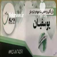 آگهی مشابه بار فروشی حاج قادر یوسفیان عضو اتحادیه میدان تره بار مرکزی در کرج در گروه بارفروشی محصولات کشاورزی بار فروش تهران دزفول کرمان کرج در یکمیوه