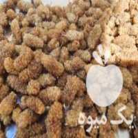 آگهی مشابه فروش توت خشک با کیفیت عالی در هشتگرد در گروه خرید فروش عمده توت - خرید شاتوت سفید طلایی موزی قرمز در یکمیوه