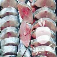 آگهی مشابه فروش ماهی سفارشی در تهران در گروه انواع ماهی - سالمون شیر کپور قرمز شوریده سفید گوپی مرکب در یکمیوه