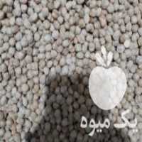 آگهی مشابه فروش نخود برای مواد فلافل در کرج در گروه خرید فروش عمده نخود - فرنگی خام سبز فروش عمده در یکمیوه