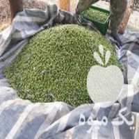 آگهی مشابه فروش و پخش زیتون آریا در تاکستان در گروه خرید فروش عمده زیتون - سبز سیاه بندری پاکستانی طارم در یکمیوه