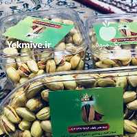 آگهی مشابه فروش پسته دامغان در تهران در گروه پسته - کوهی شامی خام اکبری تازه کله قوچی در یکمیوه